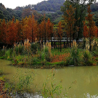 [������]����������ɽ������԰