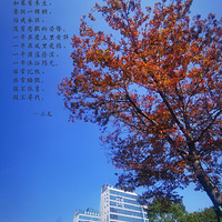 ���޴�����