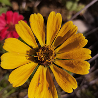 �����ݲ�