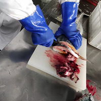 �����и�ɹ����ģ���ɹ������