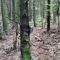 ��ϡ����в��������֣������ĵ����ֹ����ص㱣��Ұ������