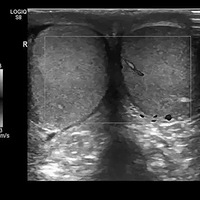 ����һ��Сʱ������Ҳ�Ȳ��ˣ������к��ġ���������ס��