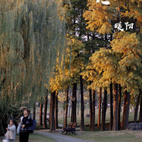 ����������԰