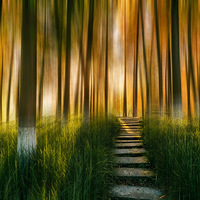 ������ɫ