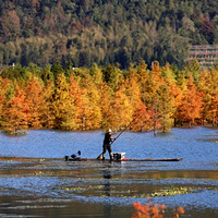 ���ܣ����´�磡̨�����붬��Զ��