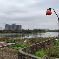 ����Ӱ2021����̨�ݡ���ˮ�ﰶ-20211128-����