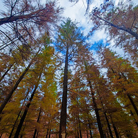 ��̶ˮ��ˮɼ