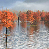 ��̶ˮ�����