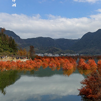 ��̶����ˮɼ