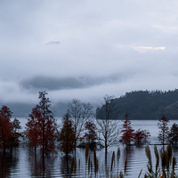 �峿����̶ˮ��