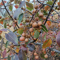 ����Сʱ��Ĺ�ʵ