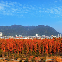 �����ٺ�����侺�ɼ��