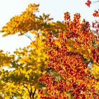 �������ر�����ӣ�20211202��ȫ�Գ���ף��ң���������