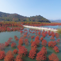 ̨�ݺ�ɼ�֣����������ӡ�����ֱ���䡷��