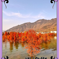 ��̷ˮ����