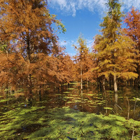 ��ɼ���������֮��