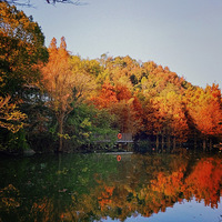 �������ġ�����ɽ��԰