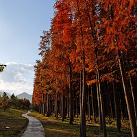 ��������Ƭ��