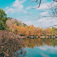 ������㡰����·������ɽ��԰�����֡�