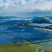 ��һ�����Ӿ�����