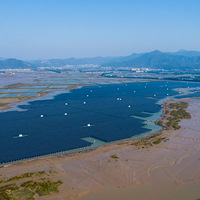 ��һ�����Ӿ�����