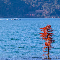 �黨֮��,��ָһ˲...