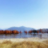 ��̶ˮ��۹���Ӱ