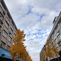 �������ġ����������ļ���