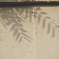 ����Ӱ2021��+��¼����