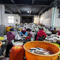 ̨�������ѵ���Դ