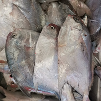 �������ġ����ź���Ҳ�����ˣ���ȷʵ���ʡ�