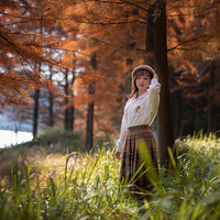 ����������