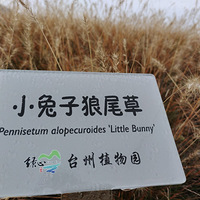 �붬��̨��ֲ��԰