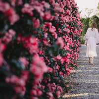 ����Ӱ2021������ڶ���һ���ʱ��