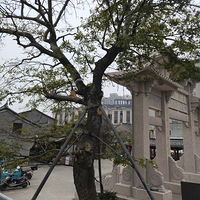 ���쿴������ľ����ĺܶ�