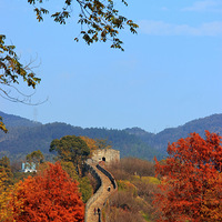 �ٺ����ϳ�����ɫ