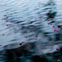 ����Ӱ2021��+���Լ������Լ�