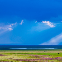 ����Ӱ2021��+���Լ������Լ���2��