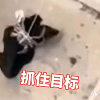 һֻ��բз�������ѣ�ǯ�Ӽ��������·������ֿ��ȡ�007����