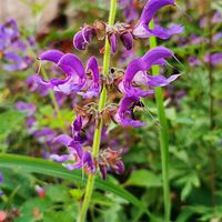 �����ݲ�