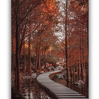 ·������ɽ��԰����������ĺ�����