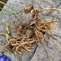 �������ġ��������˱��������°�ؼ�ϴϴ�����