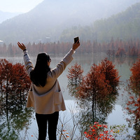 ����̶ˮ�������