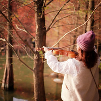 ����Ҷ����ĺ����֣�Ҳ���������Ű�