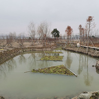 �������ġ��������裬ˮ�ݺ�é��Ҳ�ɡ�����