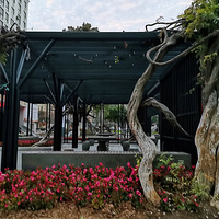 �ϵط����¾��ۣ��������߹�԰����������������������ӡ�