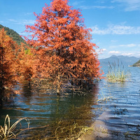 ����ů���µĳ�̶ˮɼ