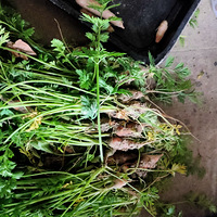 �������ġ�����ָ���ܲ����ܳ���