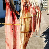 [������]ɹ����