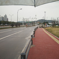 ���˸���į